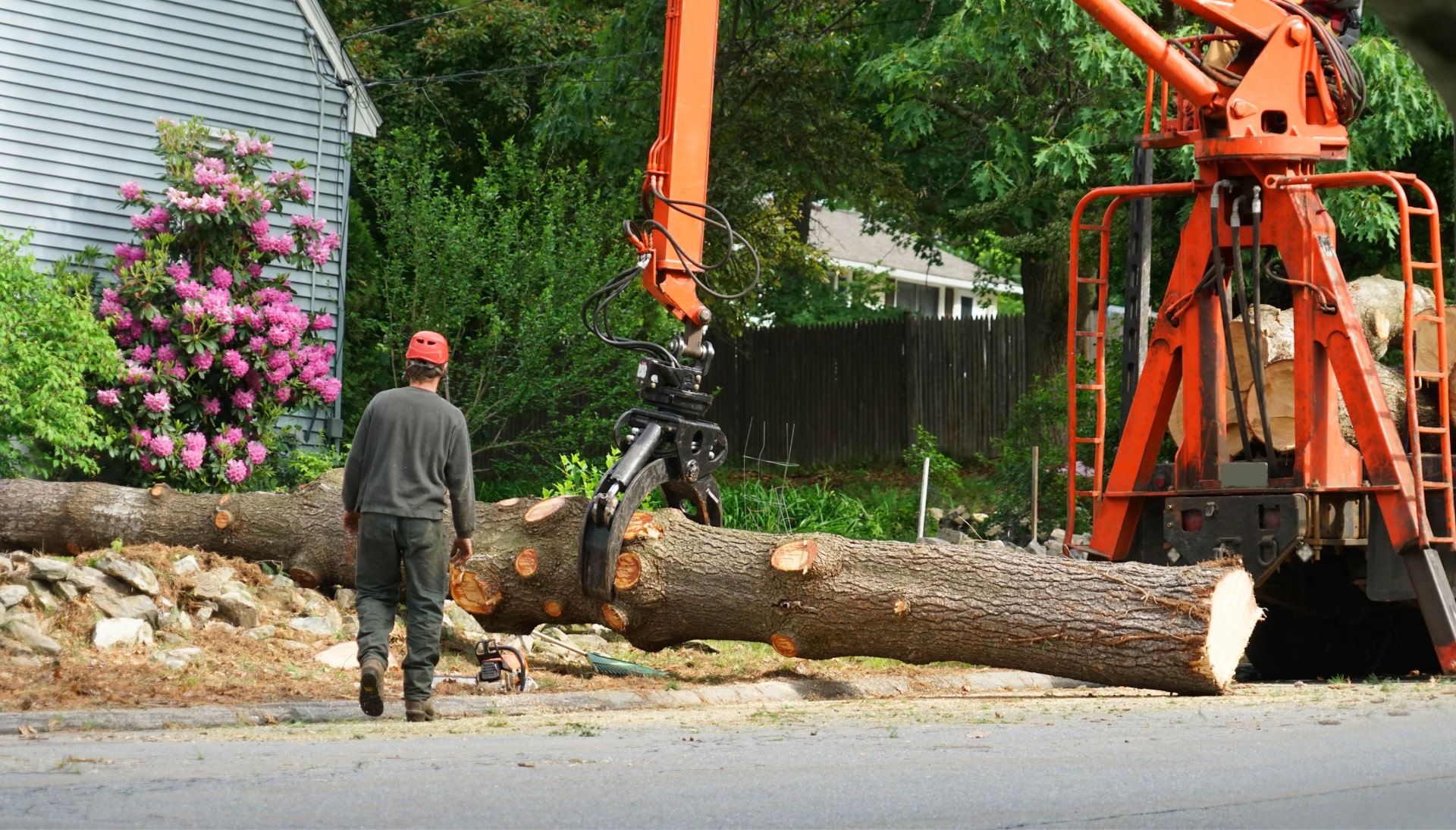 Local partner for Tree removal services in Murfreesboro
