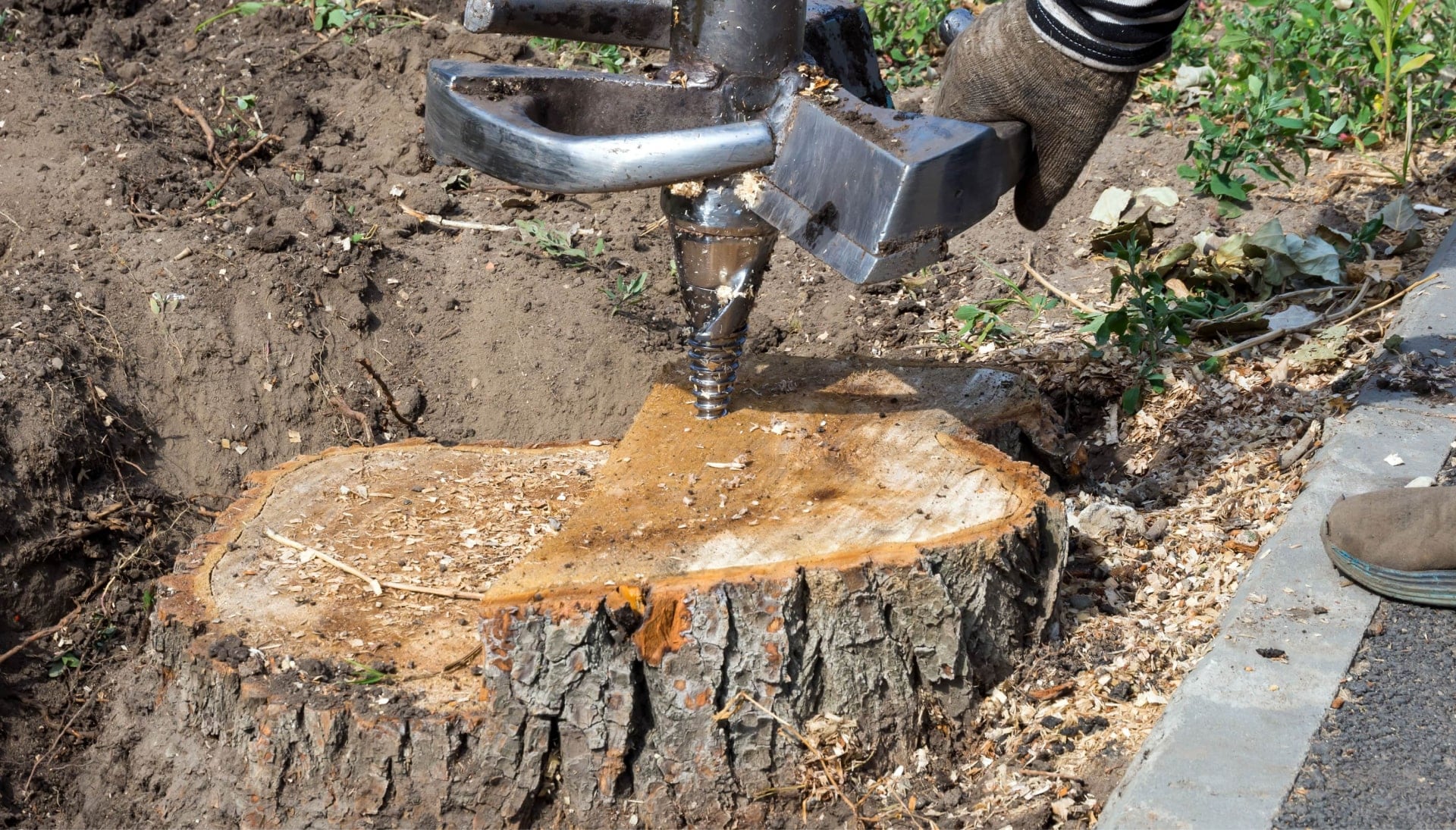Murfreesboro Tree stump removal